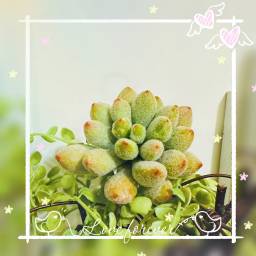 課程圖片 2